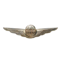 Austrian Armed Forces Free Fall Parachutist Badge - Austrian Army Surplus - Flags, Badges & Insignia