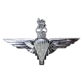 British Parachute Regiment Beret Badge - British Army Surplus - Flags, Badges & Insignia