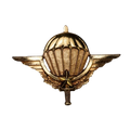 Cameroon Parachute Wings Badge - Army & Outdoors - Flags, Badges & Insignia