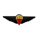 Ciskei Defence Force (CDF) Parachute Wing - Halo, Item 2 - Army & Outdoors - Flags, Badges & Insignia