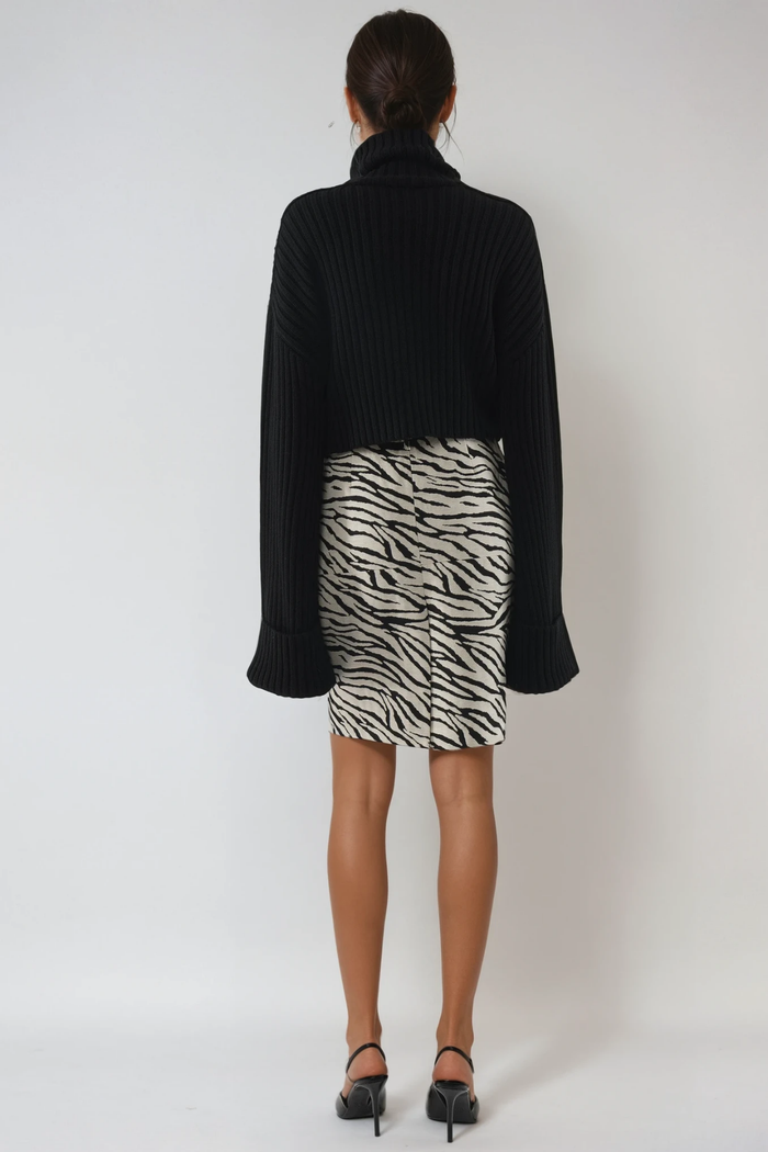 Dileep Zebra Print Mini Skirt