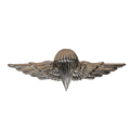 Egyptian Army Basic Parachute Wings Badge - Army & Outdoors - Flags, Badges & Insignia