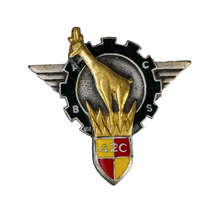 French 420th Paratrooper Command and Support Battalion Badge - French Army Surplus - Flags, Badges & Insignia