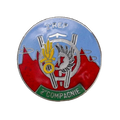 French Foreign Legion 2nd Foreign Parachute Regiment, 2nd Company Badge - French Army Surplus - Flags, Badges & Insignia