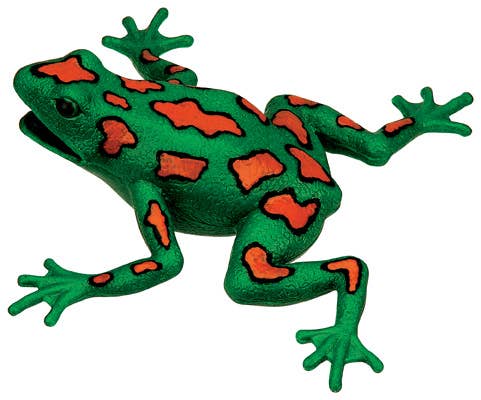 Frog Squishimal - Assorted Styles