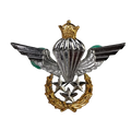 Imperial Iranian Army Airborne Master Jump Wings Badge - Army & Outdoors - Flags, Badges & Insignia