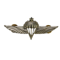 Israel Defense Forces (IDF) Senior Parachutist Badge, Item 2 - Israeli Army Surplus - Flags, Badges & Insignia