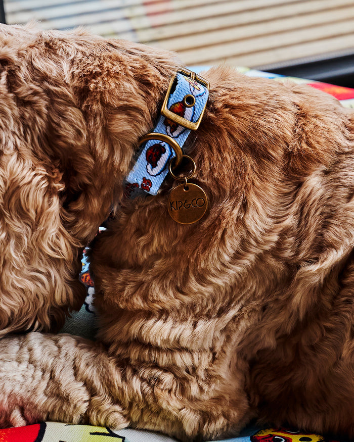 Kip&Co x Mambo Puppies Dog Collar