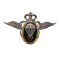 Moroccan Parachute Instructor 2nd Class Badge - Army & Outdoors - Flags, Badges & Insignia