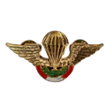 Peruvian Army Basic Parachute Badge - Army & Outdoors - Flags, Badges & Insignia