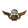 Portuguese Paratrooper Jump Wings Badge - Army & Outdoors - Flags, Badges & Insignia