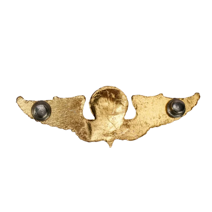 Republic of China (Taiwan) Army Parachutist Badge, Item 2 - Army & Outdoors - Flags, Badges & Insignia