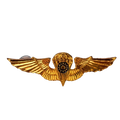 Republic of China (Taiwan) Army Parachutist Mess Dress Badge - Army & Outdoors - Flags, Badges & Insignia