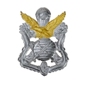 Republic of Korea (ROK) Army Special Warfare Command Beret Badge, Item 2 - Army & Outdoors - Flags, Badges & Insignia