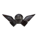 Rhodesian Army Selous Scouts Parachute Wings Badge - Army & Outdoors - Flags, Badges & Insignia