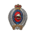 Royal New Zealand Infantry Regiment (RNZIR) Badge - New Zealand Army Surplus - Flags, Badges & Insignia