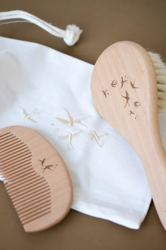 Set brosse & peigne