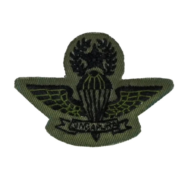 Singapore Armed Forces (SAF) Master Parachute Wings Badge - Singapore Army Surplus - Flags, Badges & Insignia