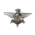 South African Defence Force 3 Parachute Battalion Beret Badge - South African Army Surplus - Flags, Badges & Insignia