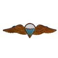 South African Defence Force Basic Parachute Qualification Wing Badge, Item 2 - South African Army Surplus - Flags, Badges & Insignia