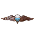 South African Defence Force Basic Parachute Qualification Wing Badge - South African Army Surplus - Flags, Badges & Insignia