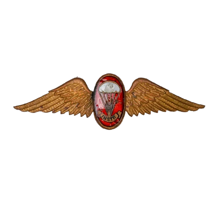 South African Defence Force Parachute Freefall Instructor Bronze Badge - South African Army Surplus - Flags, Badges & Insignia