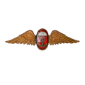 South African Defence Force Parachute Freefall Instructor Bronze Badge - South African Army Surplus - Flags, Badges & Insignia