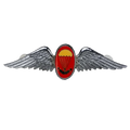 South African Defence Force Parachute Freefall Instructor Silver Badge - South African Army Surplus - Flags, Badges & Insignia