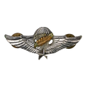 South Vietnam Master Parachutist Badge - Army & Outdoors - Flags, Badges & Insignia