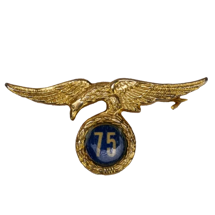 Spanish Parachute Jump Number Badge for 75 Jumps - Spanish Army Surplus - Flags, Badges & Insignia