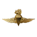 Sudanese Army Gold Parachutist Badge (Pre 1973) - Army & Outdoors - Flags, Badges & Insignia