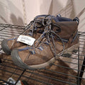Targhee II Waterproof Mid Hiking Shoes