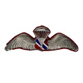 Thai Border Patrol Police Basic Parachute Wings Badge - Army & Outdoors - Flags, Badges & Insignia