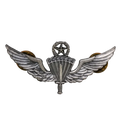 US Army Prototype Master Free Fall Parachutist Wings - US Army Surplus - Flags, Badges & Insignia