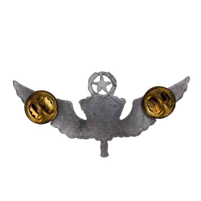 US Army Prototype Master Free Fall Parachutist Wings - US Army Surplus - Flags, Badges & Insignia