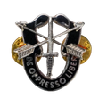 US Army Special Forces ("Green Berets") 1st Regiment Badge - US Army Surplus - Flags, Badges & Insignia
